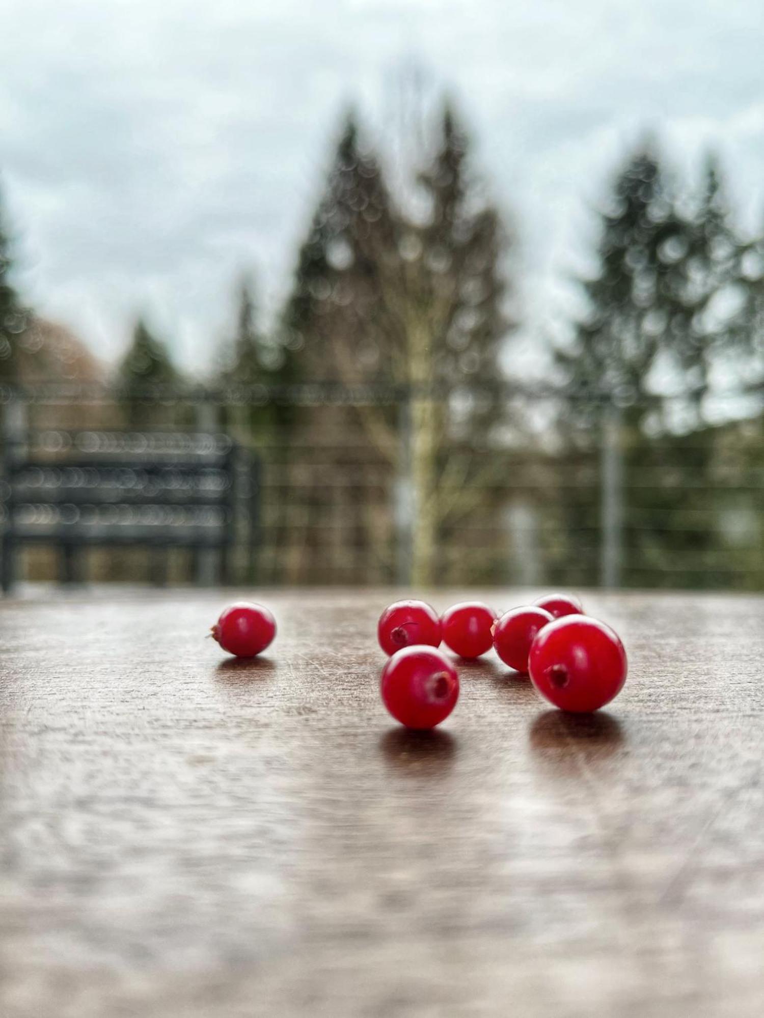 Villa Rudle Swierkocin  Esterno foto